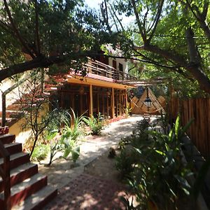 Casa Ava